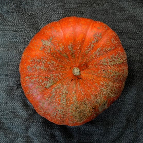 Cover Image for Introducing our beautiful November Prix Fixe Menu